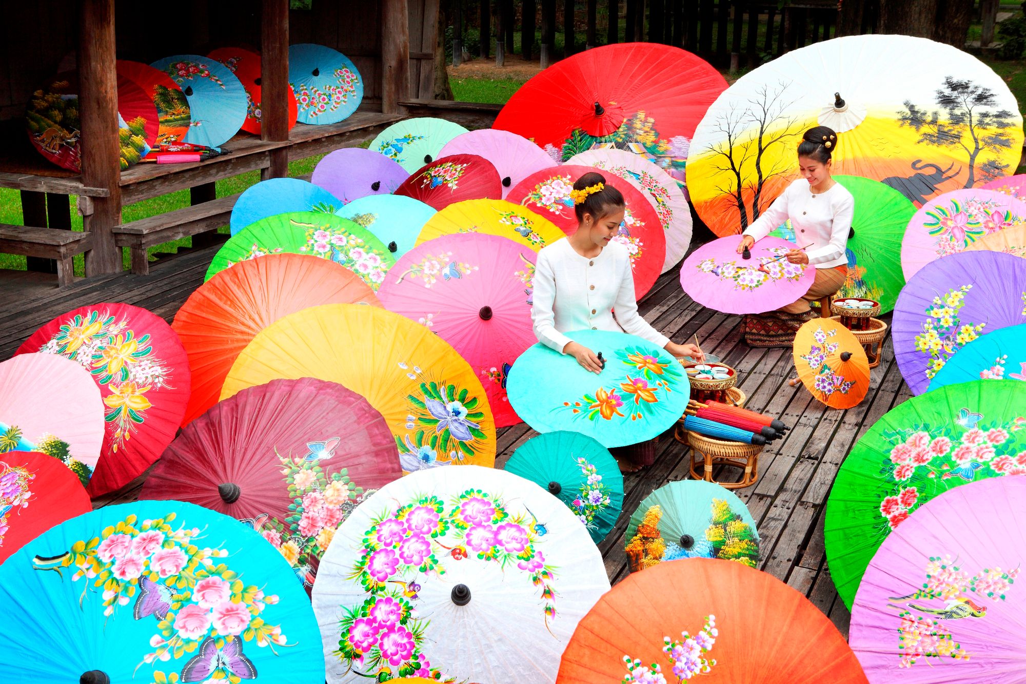 Borsang's umbrellas