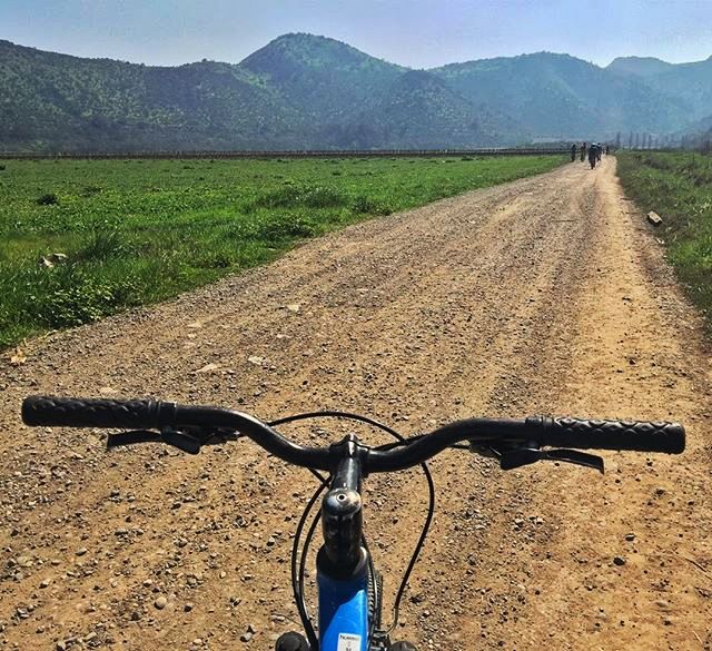 Biking in Maipo Valley. Photo: Madhuri Chowdhury