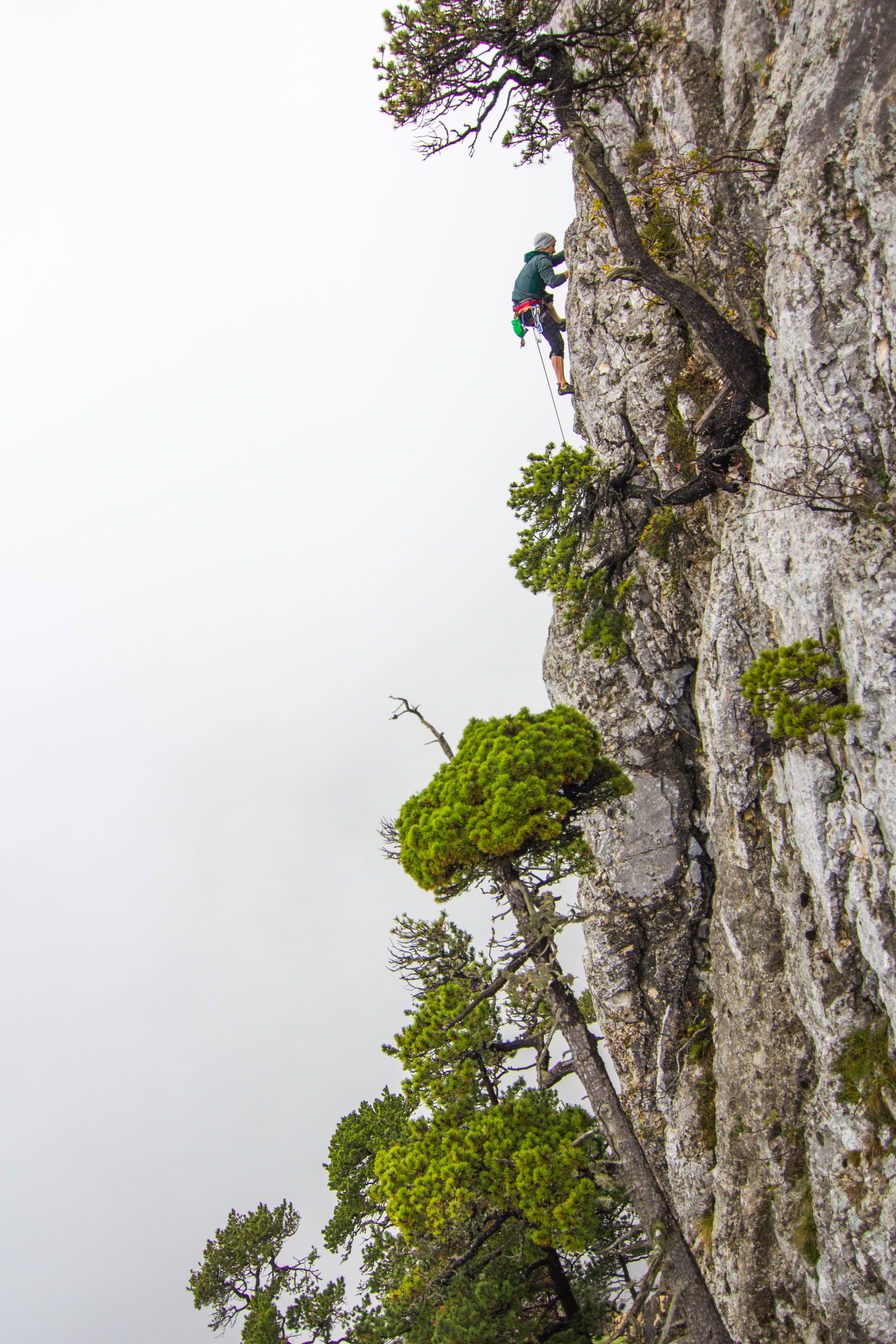 Raffael Walter on a classic Jura pitch (5.10/6a) in the middle of a cold, foggy morning. Photo: Trivik Verma