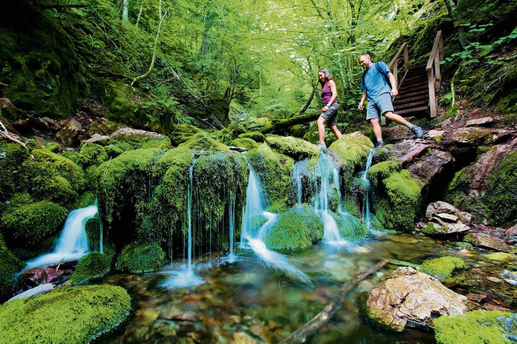 The Coastal Trail in Fund National Park. Photo courtesy of Parks Canada and the Province of New Brunswick.