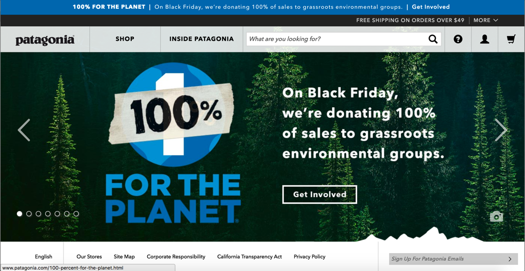 Screenshot of Patagonia Inc Homepage today 